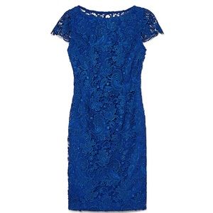 NWT Vince Camuto blue lace shirt sleeve dress